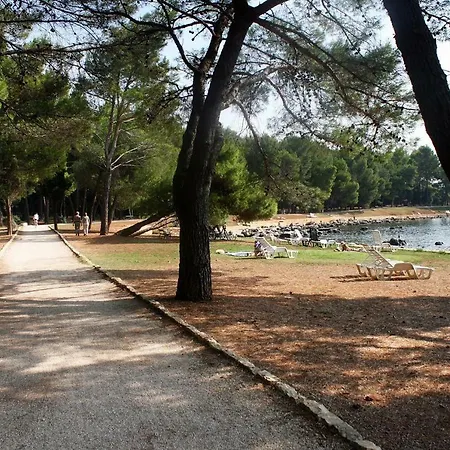 Studio 15084a Apartment Rovinj